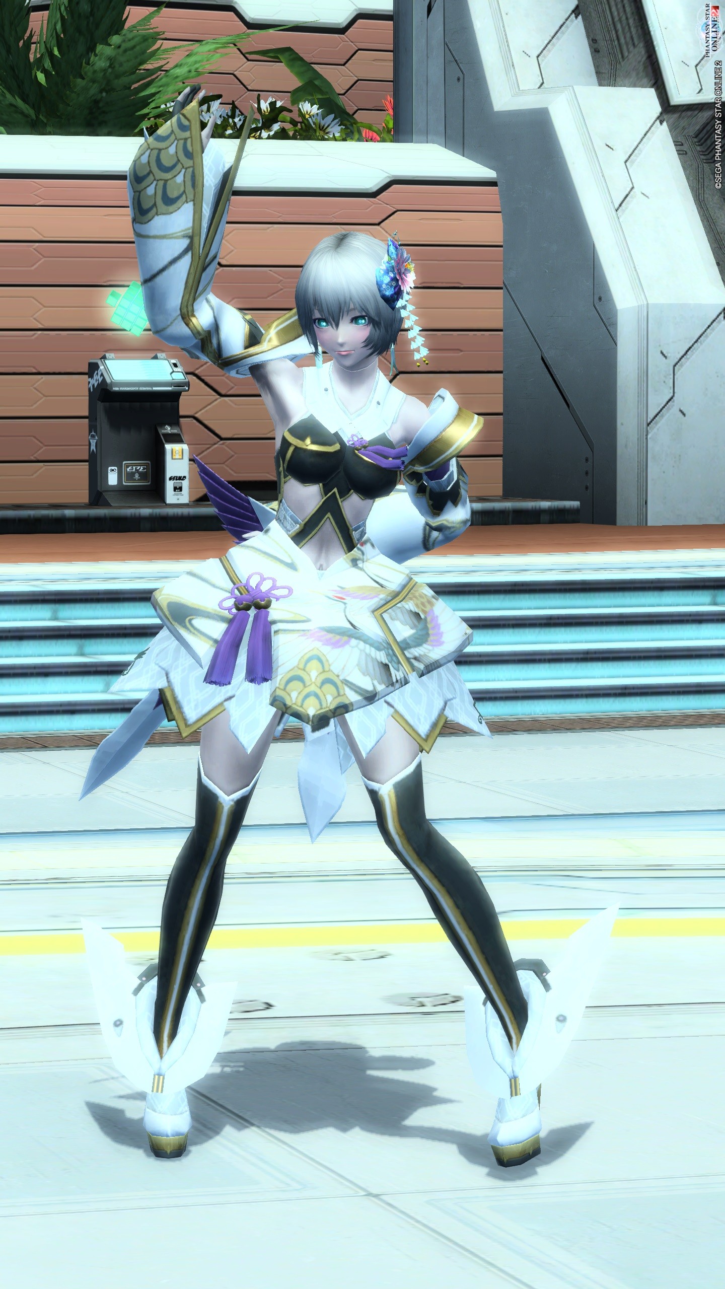 PSO2 ~月一の楽しみ:集会へ~ : テレブロ