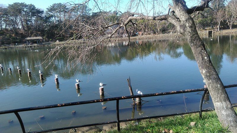 辛いラーメンで１年をしめくくる ラーメン魁力屋 東千葉店 Nekoちばらんち