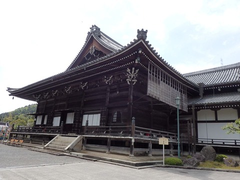 2026 4 滋賀 比叡山坂本 西教寺 (50)