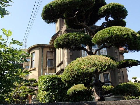 2022 5 24 徳島 三河家住宅 (10)