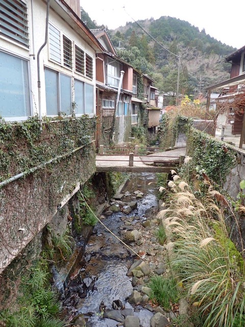 2022 1 鹿児島 川内高城温泉 (27)