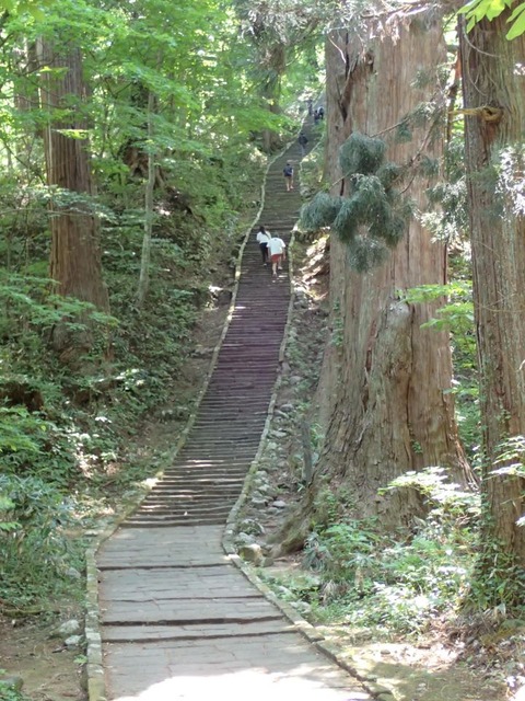 2026 5 山形 羽黒山 (101)