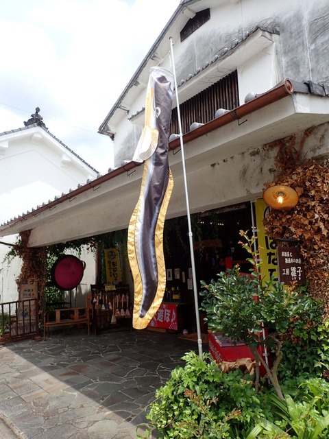 2024 6 福岡 うきは市 吉井町 (71)