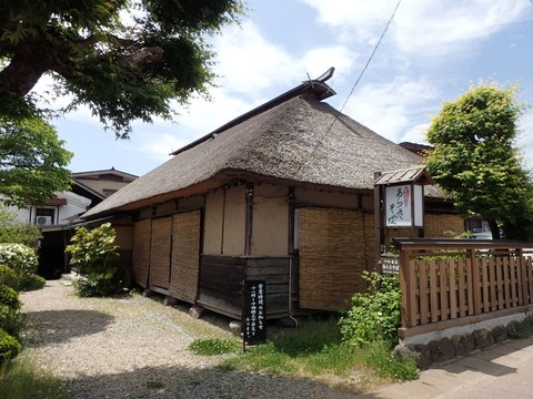 2026 5 山形 村山 あらきそば (1)