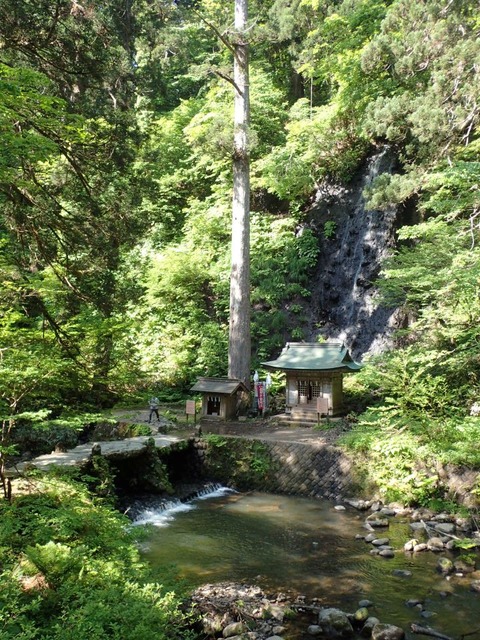2026 5 山形 羽黒山 (25)
