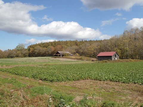 2025 10 北海道 浦幌町 (15)