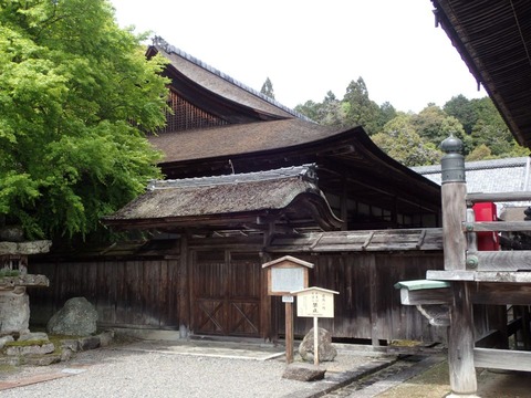 2026 4 滋賀 比叡山坂本 西教寺 (43)