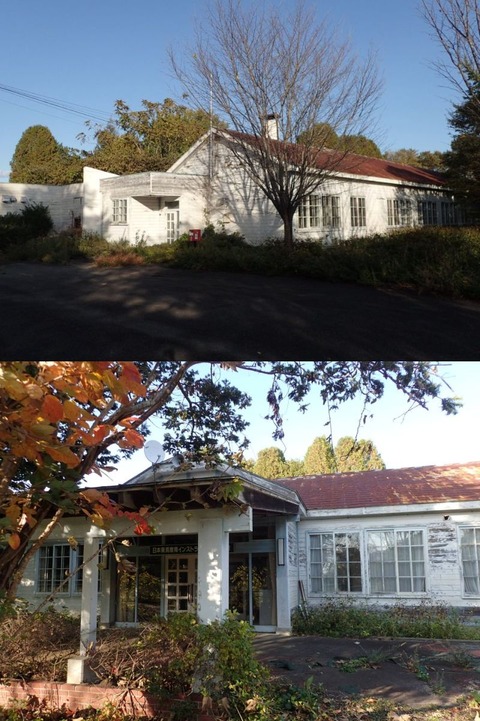 2025 10 北海道 浦河町 旧西舎小学校(わらしべ乗馬療育研修所) (2) (1)