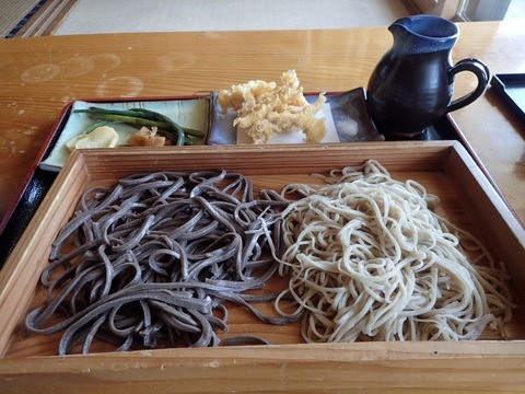 2026 5 山形 新庄 あさ沼 (8)