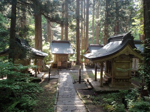 2026 5 山形 羽黒山 (18)