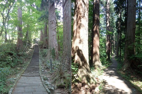 2026 5 山形 羽黒山 (45) (1)