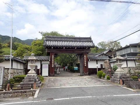 2026 4 滋賀 比叡山坂本 西教寺 (2)
