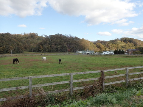 2025 10 北海道 新日高町 牧場 (2)