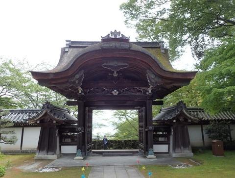 2026 4 滋賀 比叡山坂本 西教寺 (19)