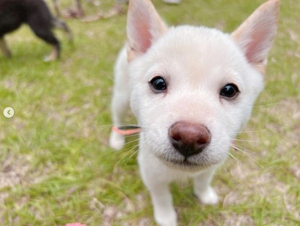 2022y07m14d_101834161