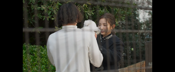 FireShot Capture 136 - Amazon.co.jp_ バチェロレッテ・