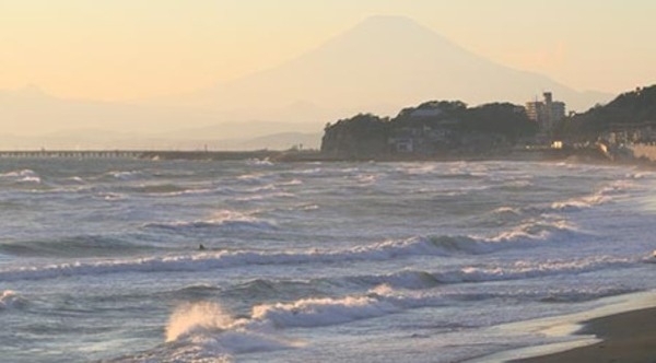 2020y04m18d_131707236