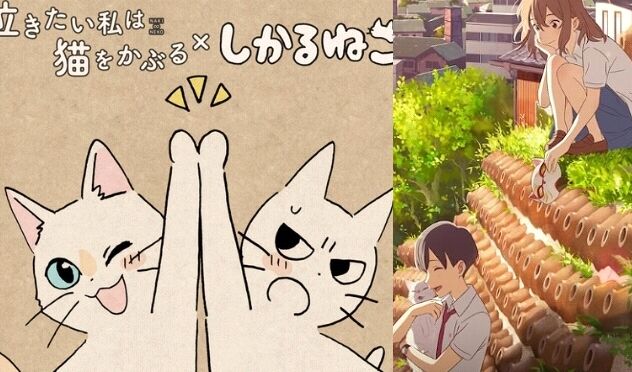 Netflix】しかるねこが映画「泣き猫」の応援隊長に就任 