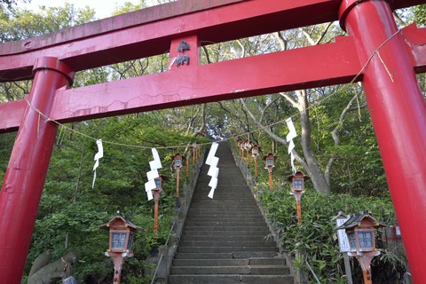 14年06月 風まかせ 14年06月 風まかせ