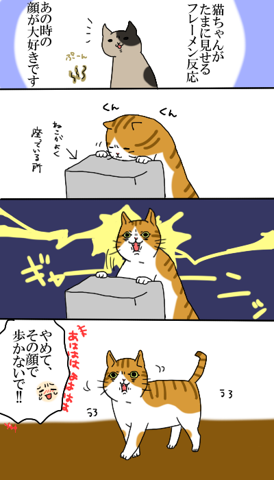 フレーメン反応 猫6匹のいる生活