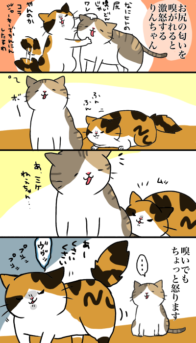 おこりんぼう 猫6匹のいる生活