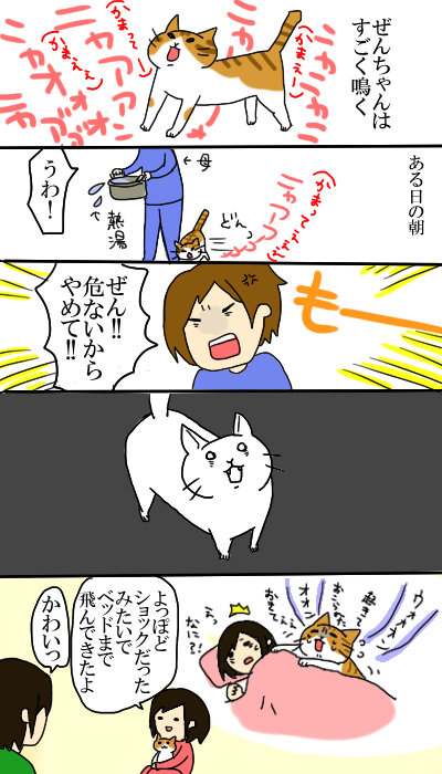 慰めてほしい 猫6匹のいる生活