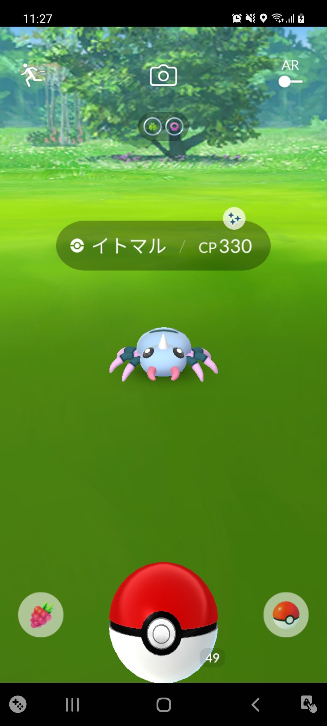 色違いイトマル ゲット Terumonぼうけんノート