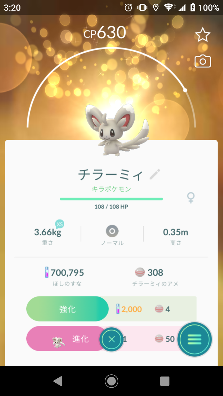 キラポケモン チラーミィ ゲット Terumonぼうけんノート