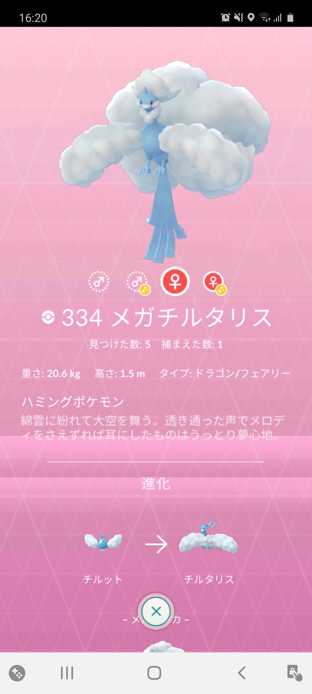 メガチルタリス ゲット Terumonぼうけんノート