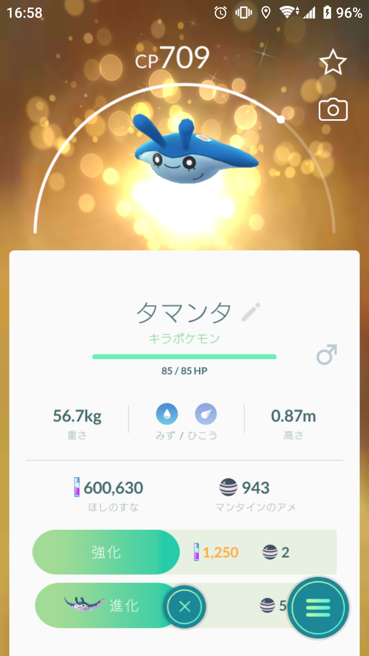 キラポケモン タマンタ ゲット Terumonぼうけんノート キラポケモン タマンタ ゲット Terumonぼうけんノート