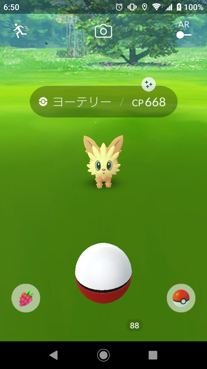 色違い ヨーテリー ゲット Terumonぼうけんノート