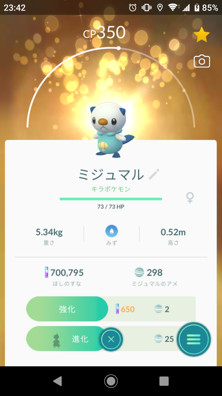 キラポケモン ミジュマル ゲット Terumonぼうけんノート