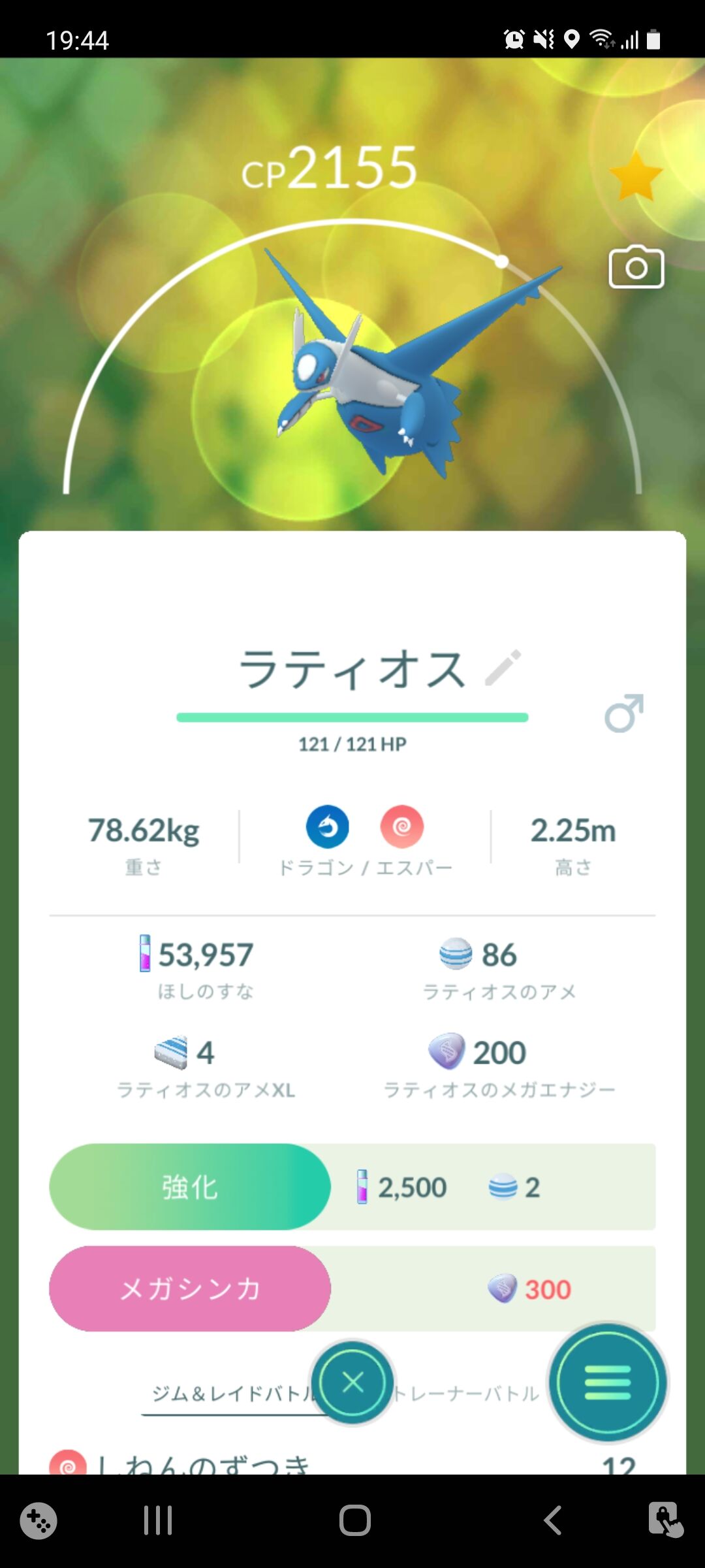 メガラティオスのレイドに挑戦 Terumonぼうけんノート