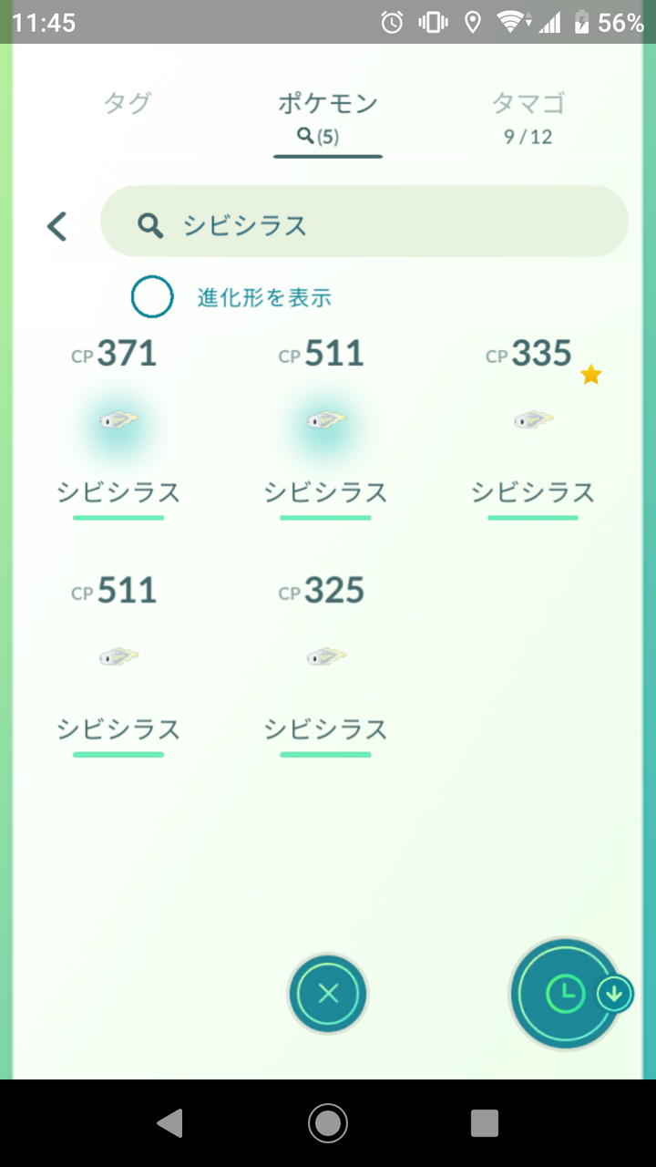 江ノ島でシビシラス Terumonぼうけんノート