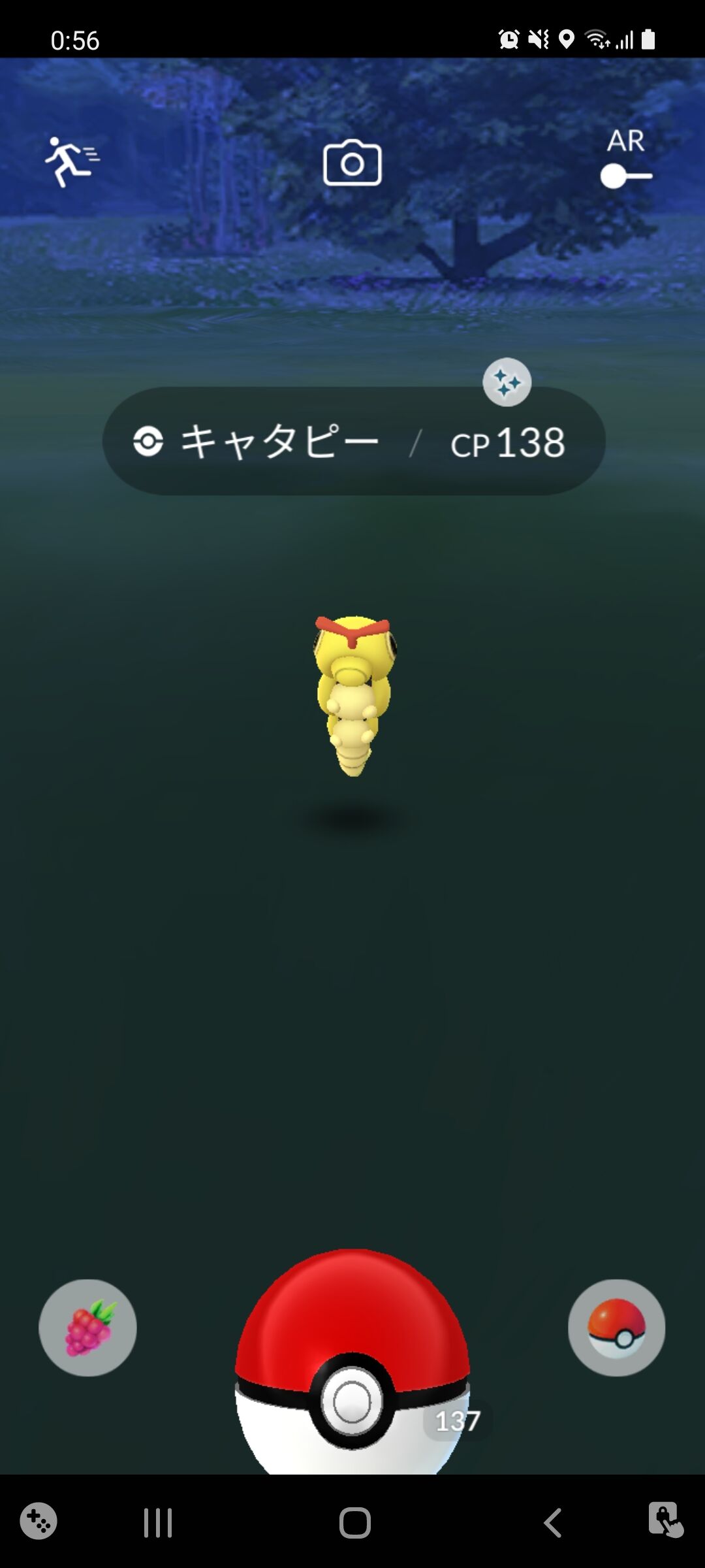 色違いキャタピー ゲット Terumonぼうけんノート