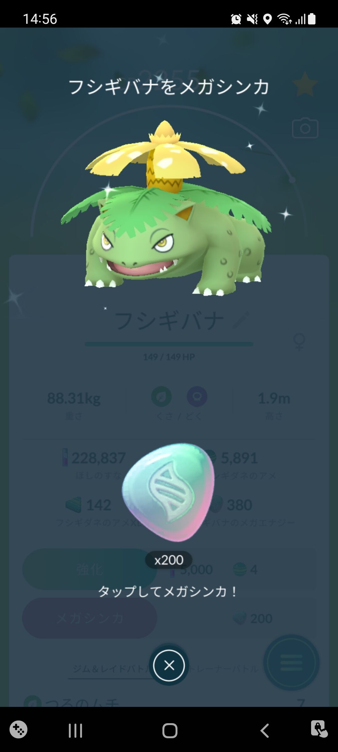 メガフシギバナ 図鑑完成 Terumonぼうけんノート