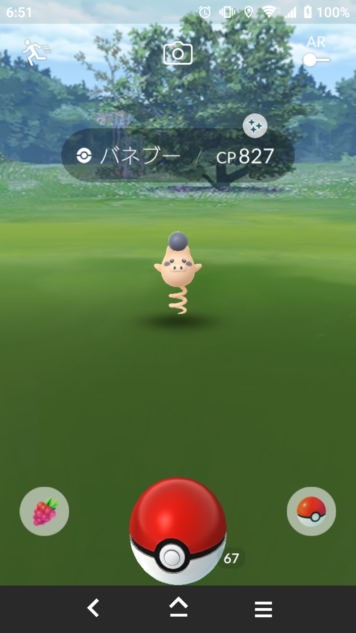 色違い バネブー ゲット Terumonぼうけんノート