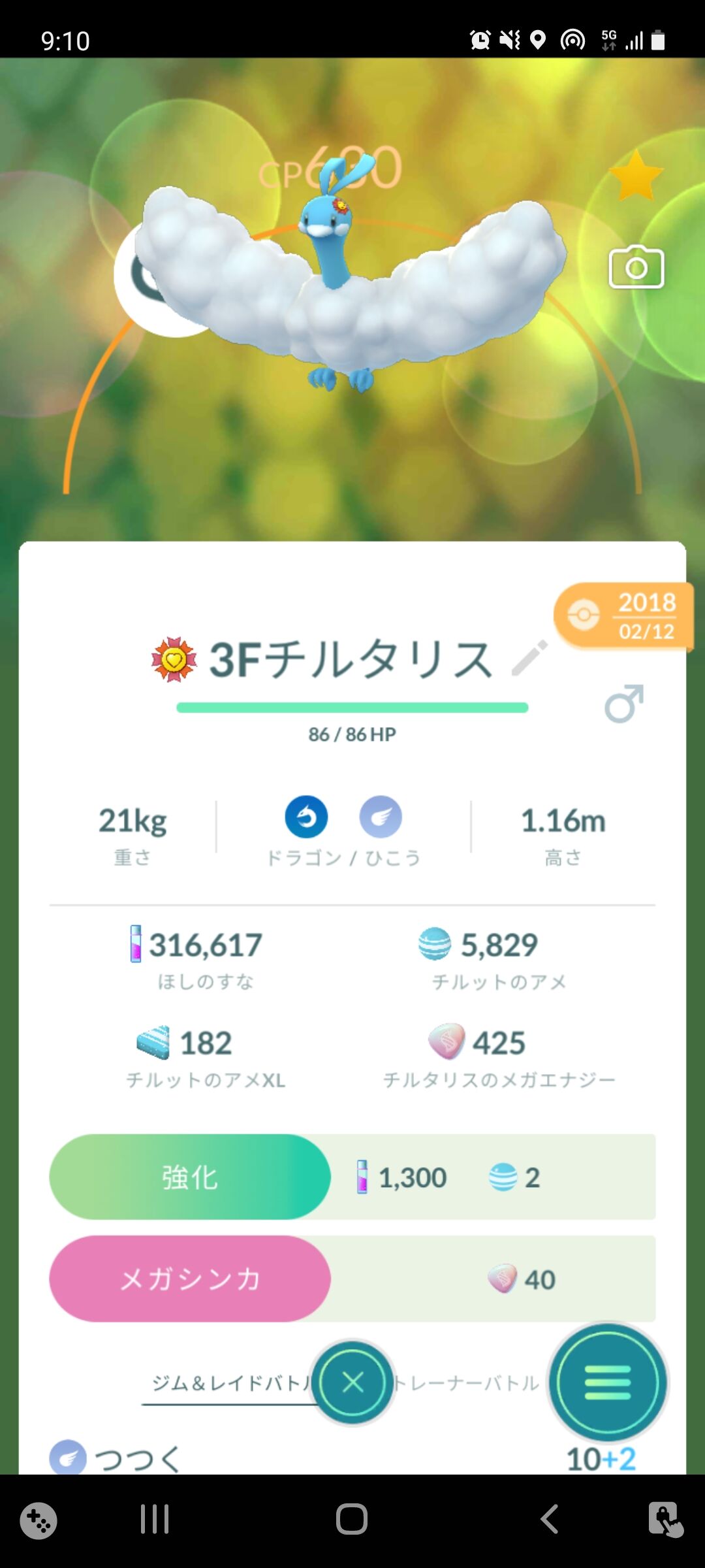 チルタリスと最高の相棒になった Terumonぼうけんノート