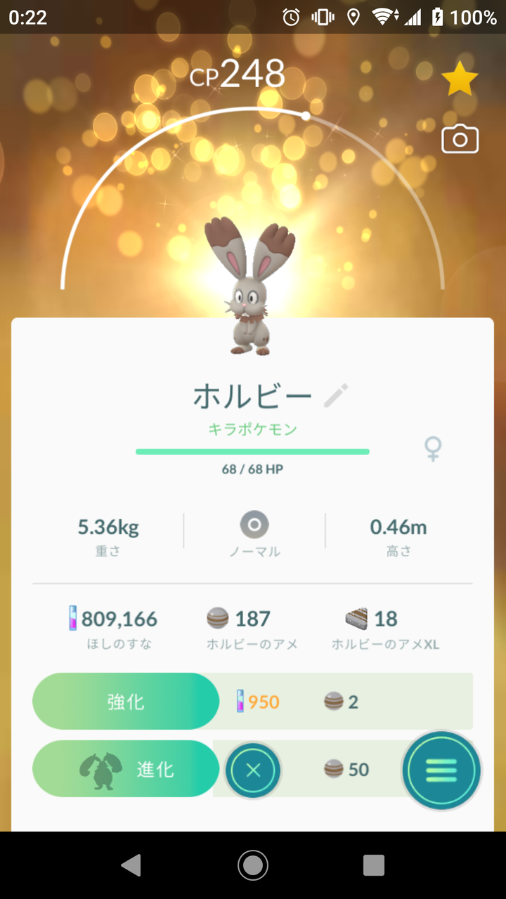 キラポケモン ホルビー ゲット Terumonぼうけんノート