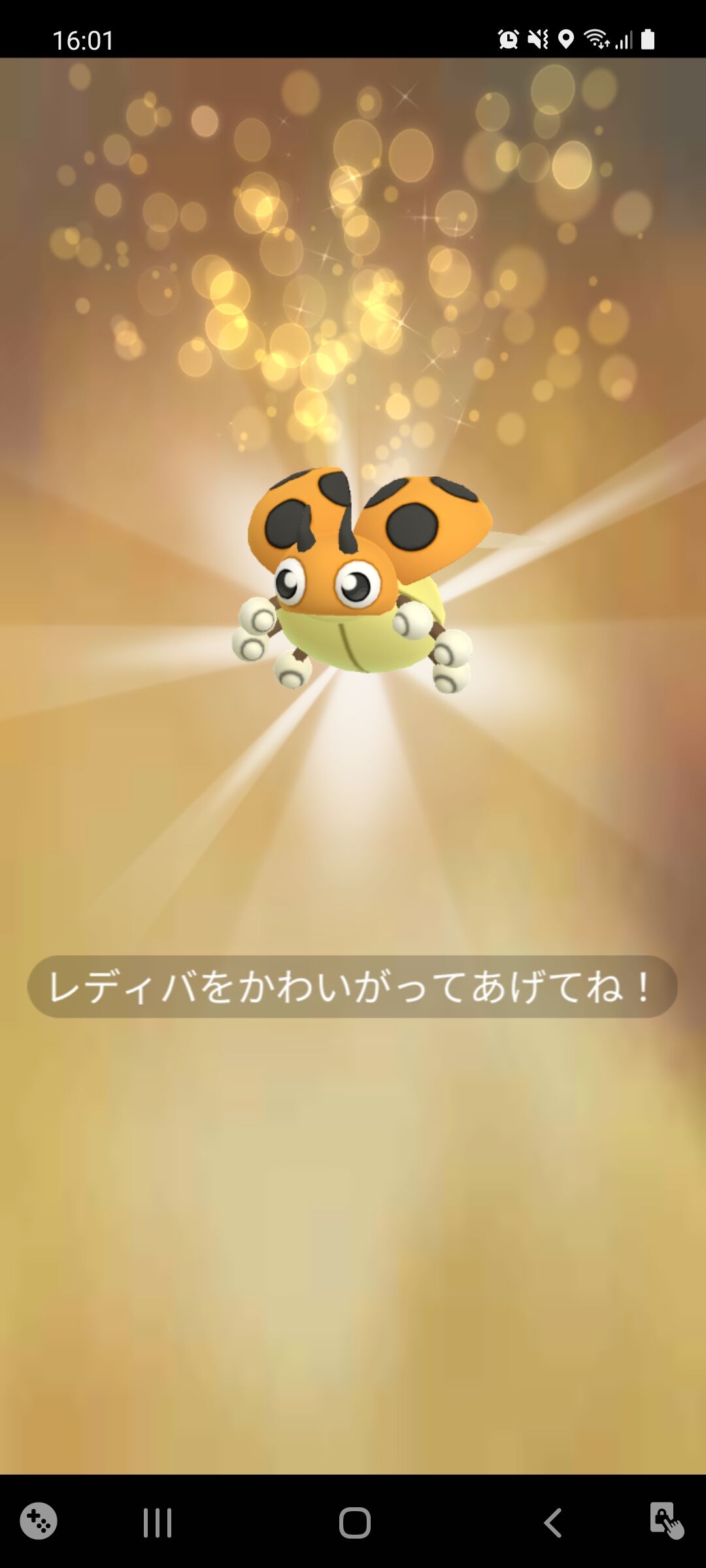 色違い3つ星レディバ ゲット Terumonぼうけんノート 色違い3つ星レディバ ゲット Terumonぼうけんノート