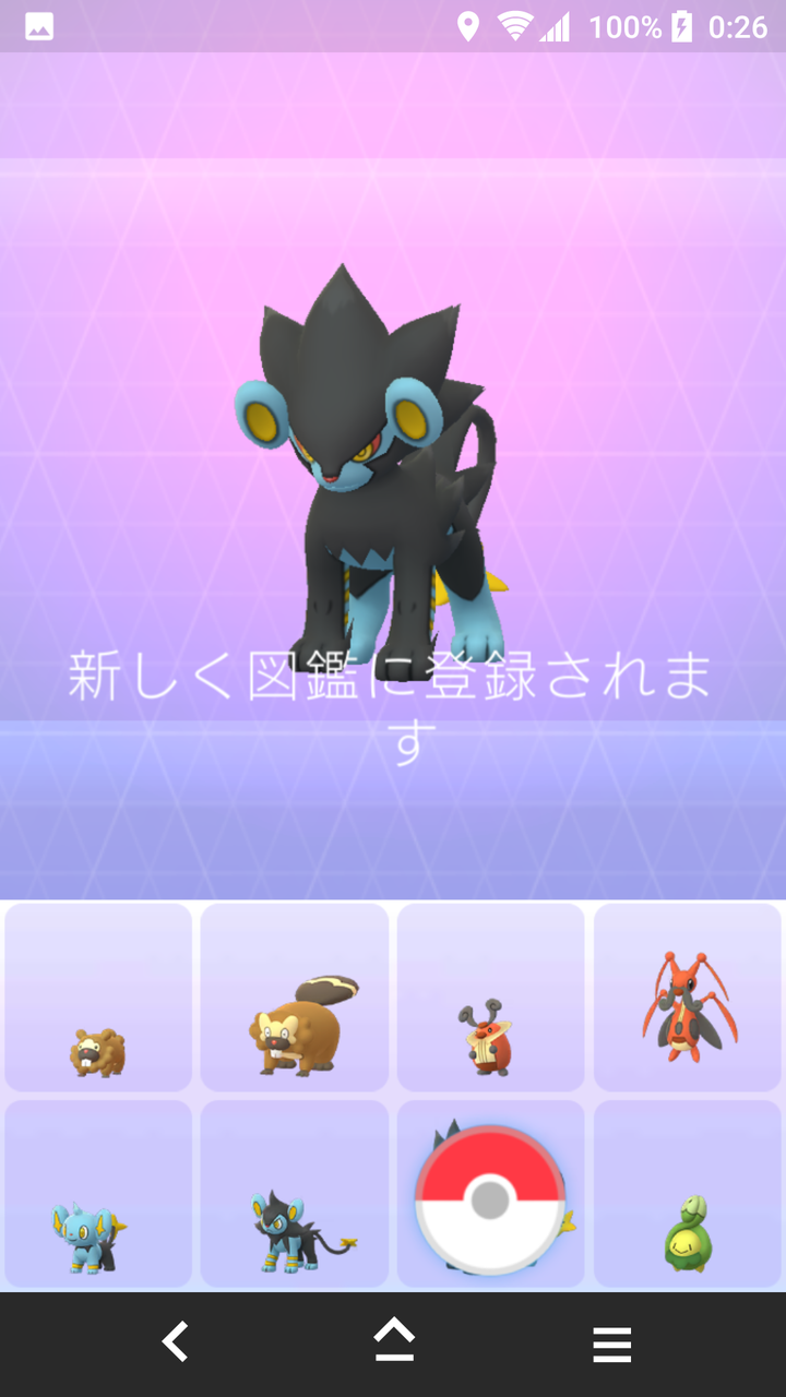 キラポケモン ルクシオ ゲット Terumonぼうけんノート キラポケモン ルクシオ ゲット Terumonぼうけんノート