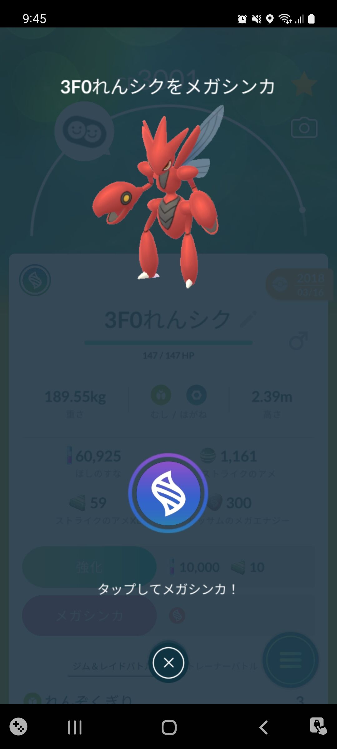 ハッサムのメガレベルが高レベルになった Terumonぼうけんノート ハッサムのメガレベルが高レベルになった Terumonぼうけんノート