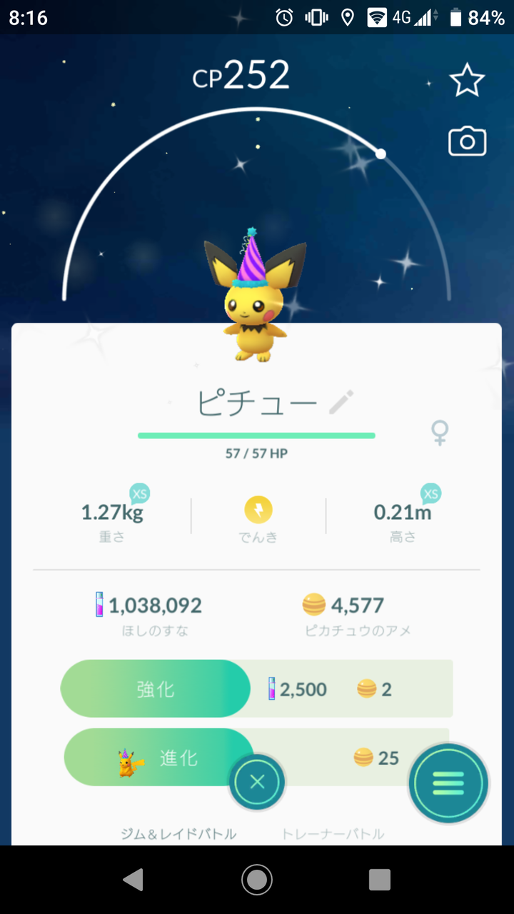 とんがり帽子をかぶった色違いピチュー ゲット Terumonぼうけんノート