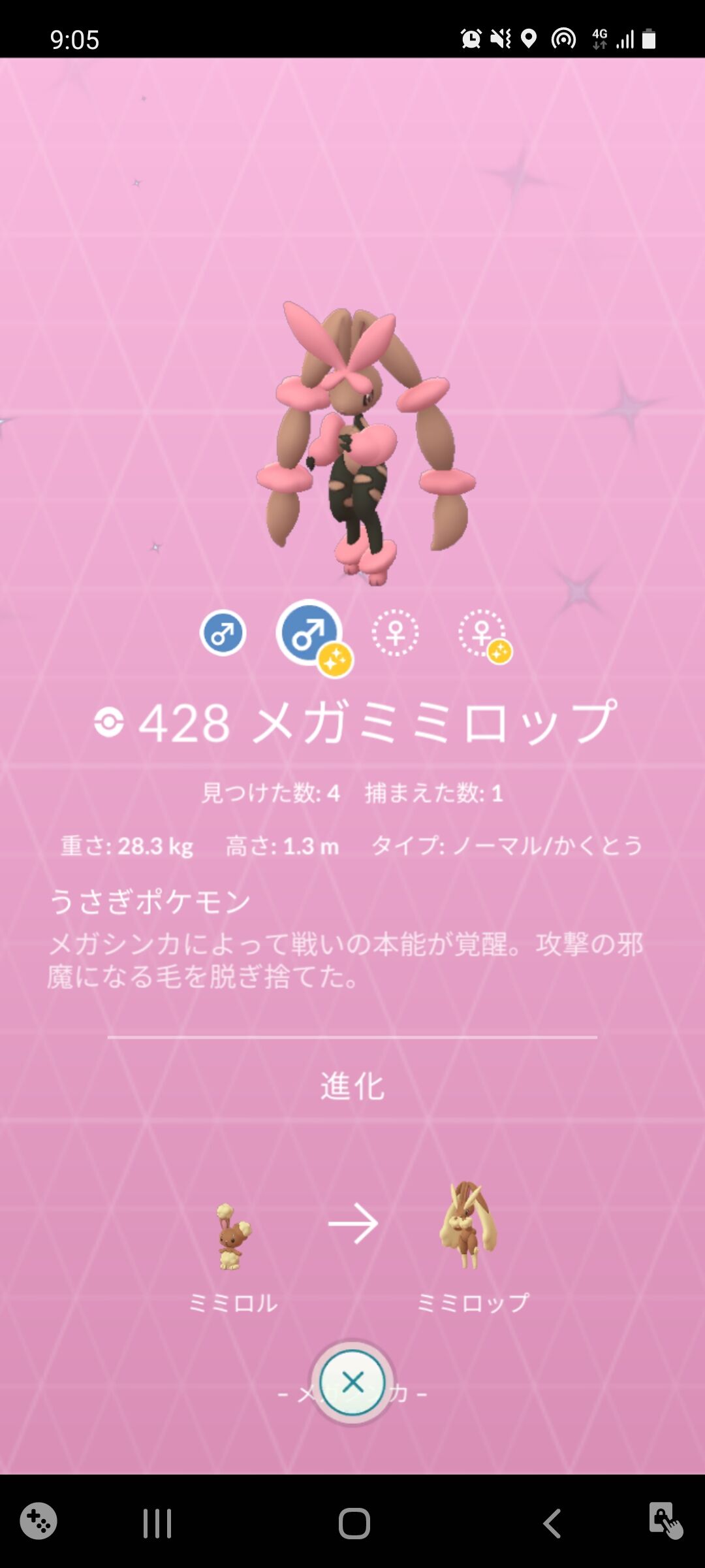 メガミミロップ 図鑑完成 Terumonぼうけんノート