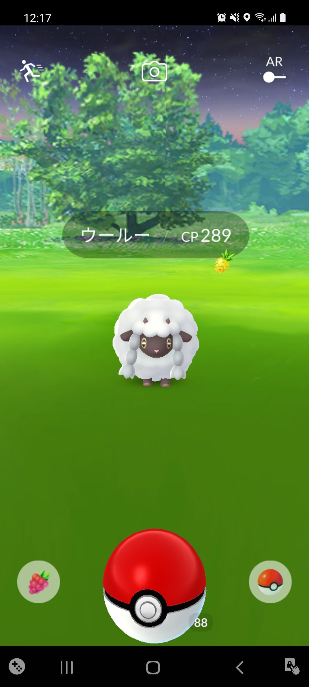 キラポケモン ウールー ゲット Terumonぼうけんノート