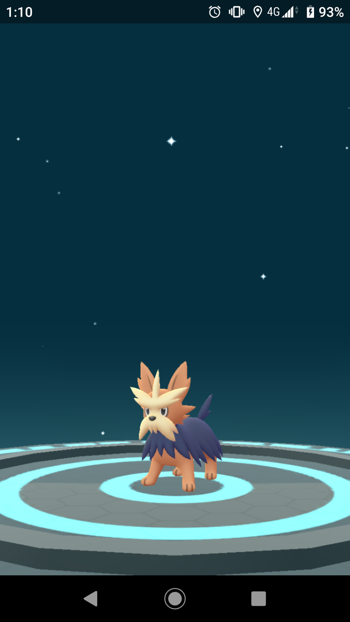 キラポケモン ヨーテリー ゲット Terumonぼうけんノート