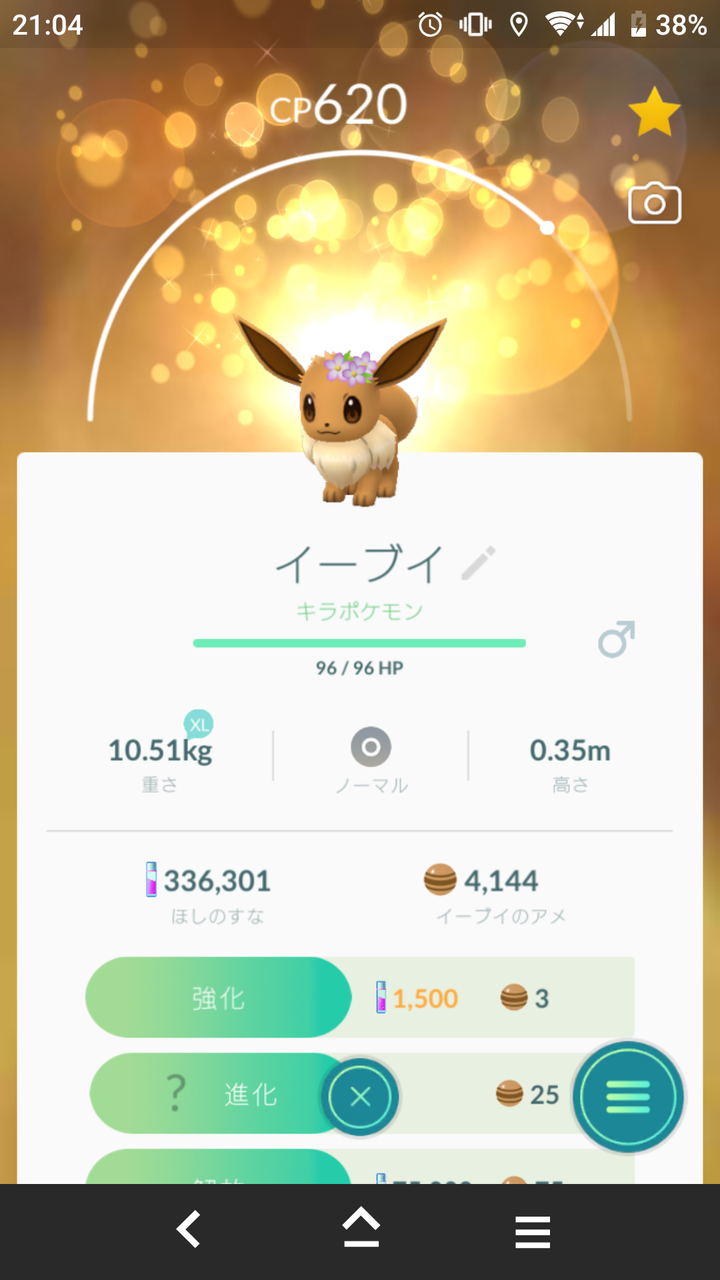 キラポケモン 花飾りブースター ゲット Terumonぼうけんノート