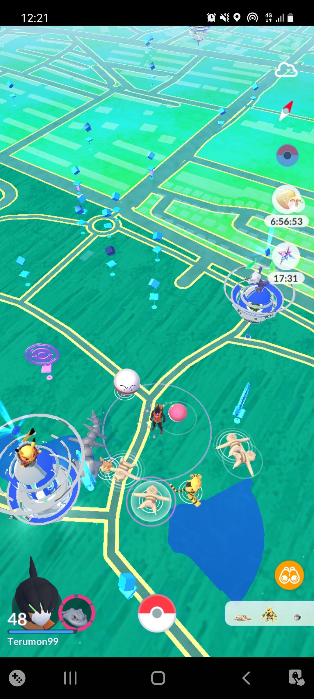 ナマケロの巣 Terumonぼうけんノート