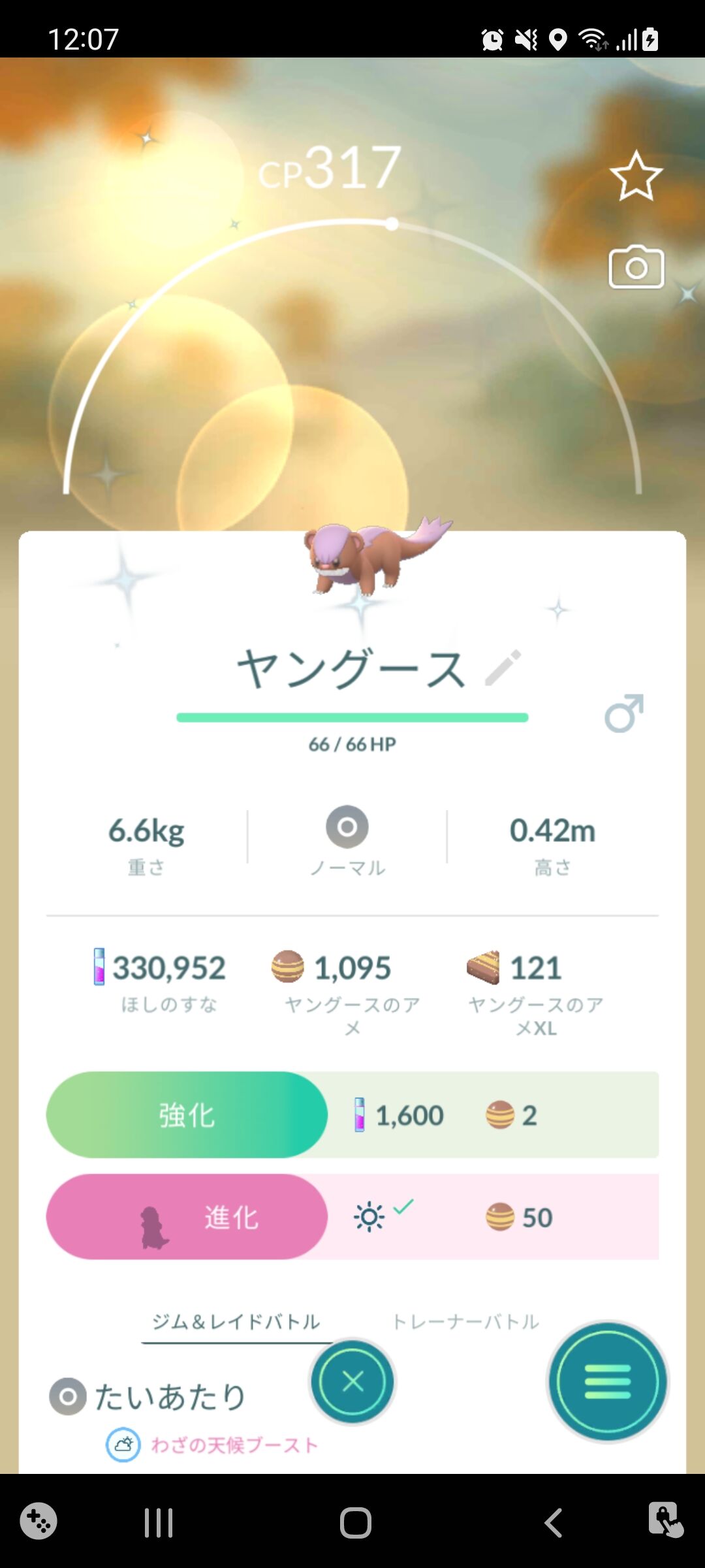 色違いヤングース ゲット Terumonぼうけんノート 色違いヤングース ゲット Terumonぼうけんノート