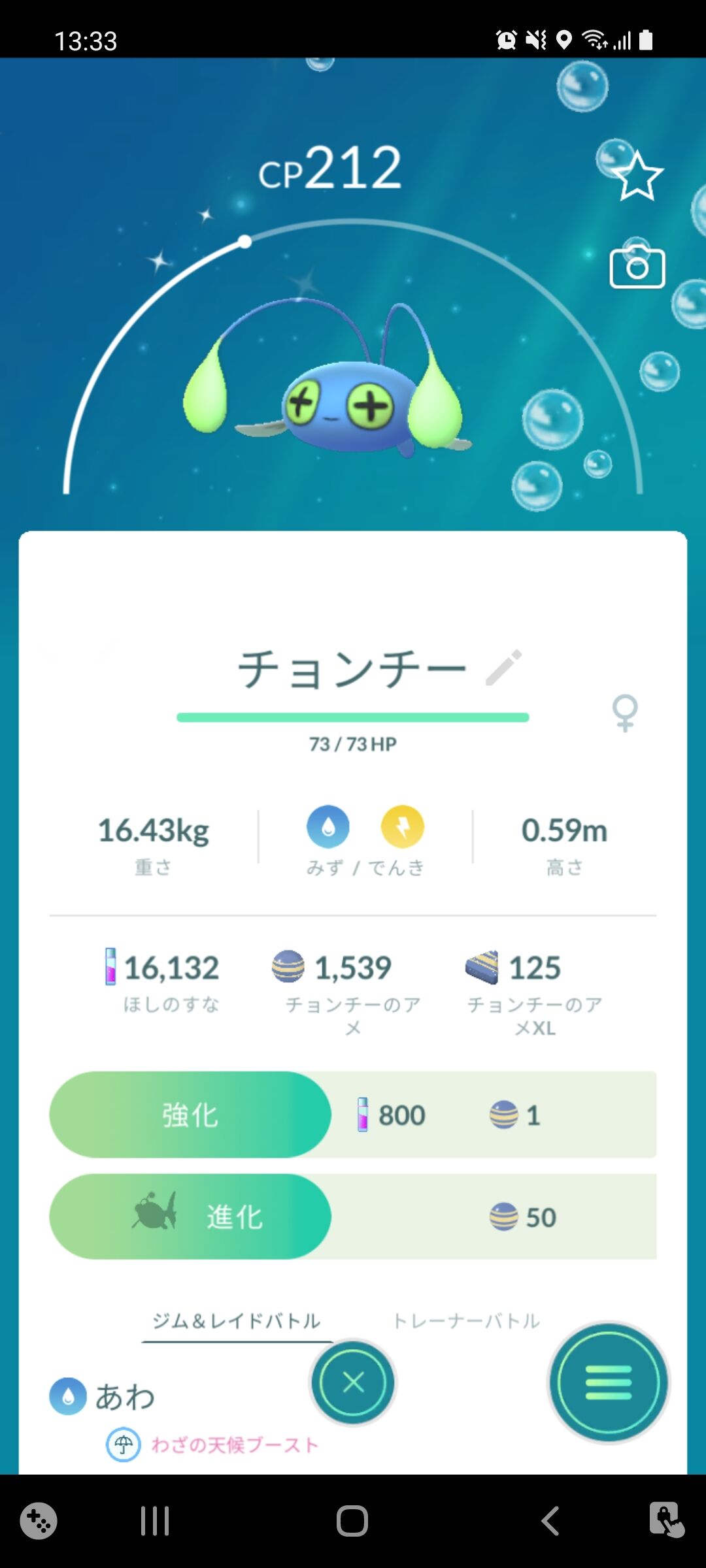 色違いチョンチー ゲット Terumonぼうけんノート